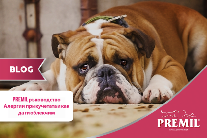 PREMIL РЪКОВОДСТВО: АЛЕРГИИ ПРИ КУЧЕТАТА И КАК ДА ГИ ОБЛЕКЧИМ